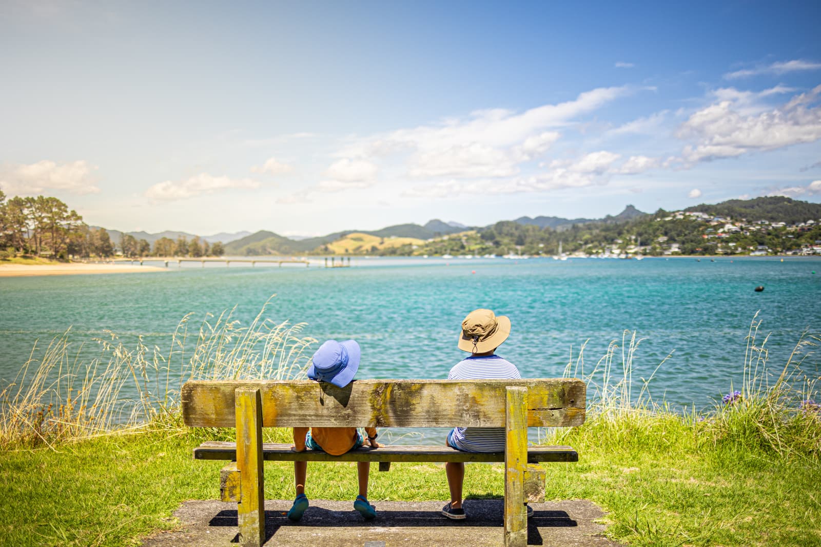 National Infrastructure Plan | Te Waihanga
